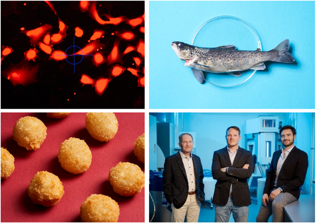 Gründungsteam von Bluu Seafood mit ihren veganen Fischalternativen