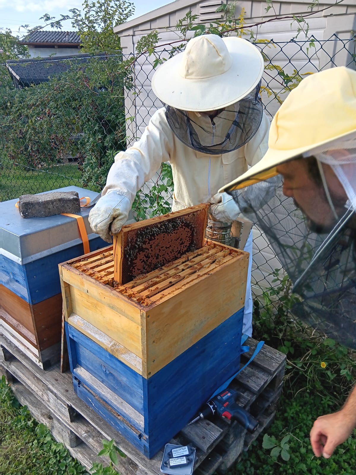 Hivesound-Gründer Kevin Kraus und Julian Obrecht im Einsatz am Bienenstock