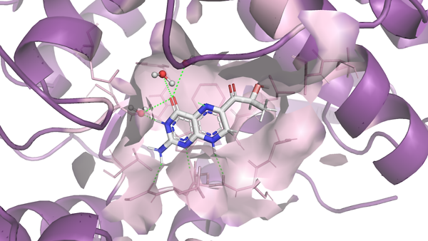 Molekül in der Bindetasche eines Zielproteins
