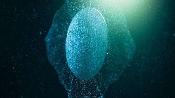 Von elementarhy entwickelte Membran-Elektroden-Anordnung