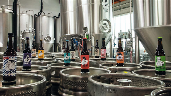 Landgang Brauerei, unterschiedliche Bierflaschen stehen auf Bierfässern