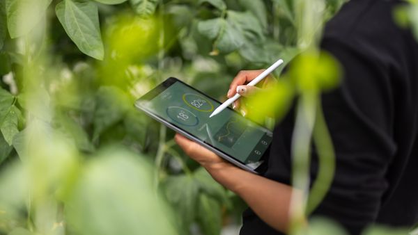 Agronomin mit digitalem Tablet zur Analyse von Anpflanzungen