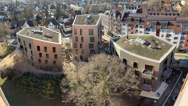 Bauprojekt am Reeseberg 115 mit Gründach von oben